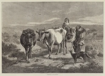 Mañana en los Páramos